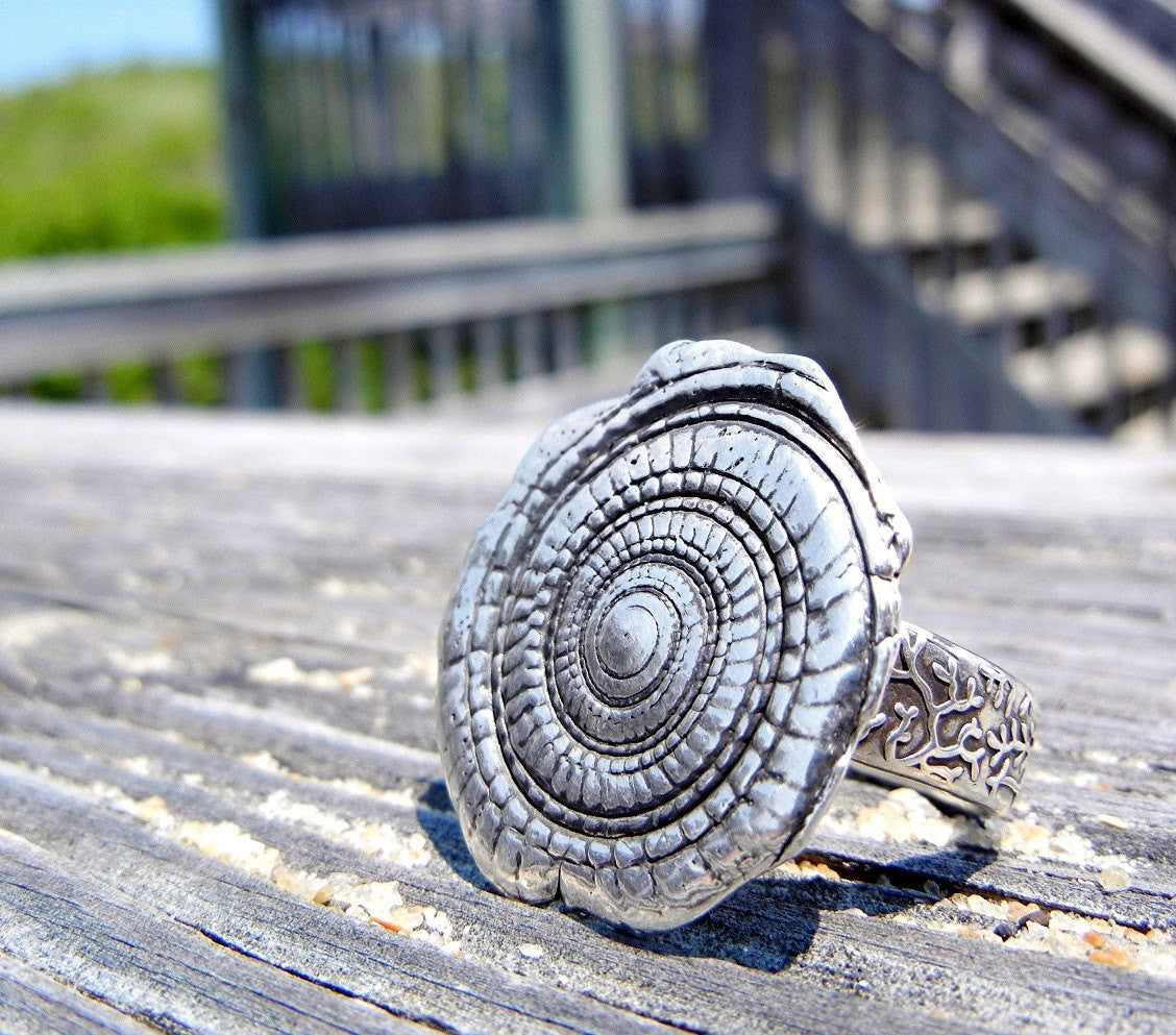 Nautical Spiral Shell Ring - HappyGoLicky Jewelry